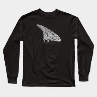 Treehopper with Common and Scientific Names - insect art Long Sleeve T-Shirt